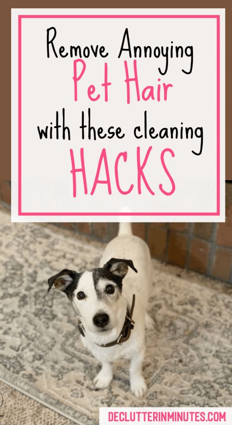 Pet Hair Cleaning Hacks, Dog Hair Cleaning, Dog Hair Removal, Boat Carpet, Pet Hair Vacuum, Hair Cleaning, Cleaning Pet Hair, Pet Area, Dog Brushing