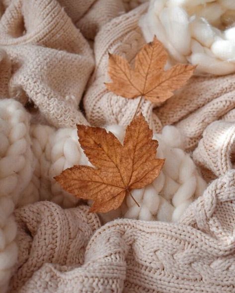 Fall White, Autumn Magic, Fall Feels, Beige Aesthetic, Brown Aesthetic, Autumn Cozy, Autumn Aesthetic, Fall Favorites, Fall Wallpaper