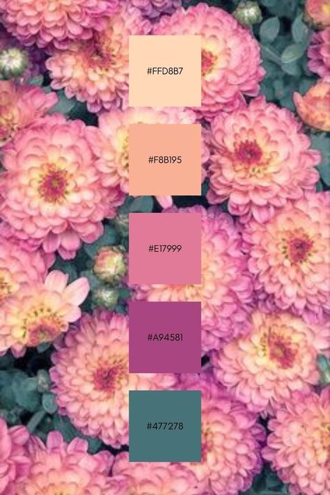 Pink Rose Color Palette, Pretty Color Palette, Hex Color Palette, Color Schemes Colour Palettes, Color Palette Pink, Brand Color Palette, Color Palate, Color Palette Design, Wedding Color Palette