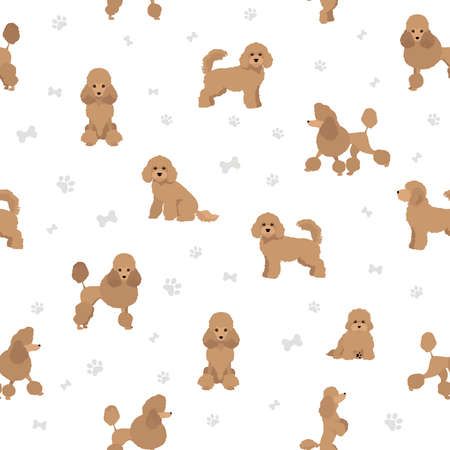 Poodle Illustration, Miniature Poodle, Color Set, First Birthdays, Snoopy, Miniatures, Clip Art, Birthday, Fictional Characters