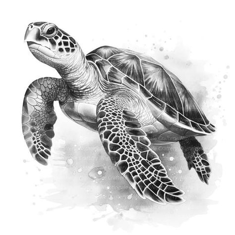 Sea Turtle Drawing Realistic, Realistic Turtle Drawing, Sea Turtle Drawing Sketches, Tattoo Tortuga, Sea Tattoo Sleeve, Ocean Creatures Art, Turtle Sketch, Sea Turtle Drawing, Realistic Animal Drawings