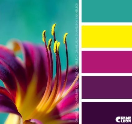 5 Color Scheme, Vibrant Colour Combinations, Wild Color Palette, Vibrant Color Combinations, Color Combinations With Purple, Bright Yellow Color Palette, Bold Color Combinations, Purple Complimentary Colors, Tropical Colour Palette