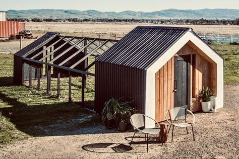 Osb Flooring, Roosting Bars, Front Door Modern, Windows Modern, Coop Run, Chicken Door, Animal Homes, Walk In Chicken Coop, Shiplap Siding