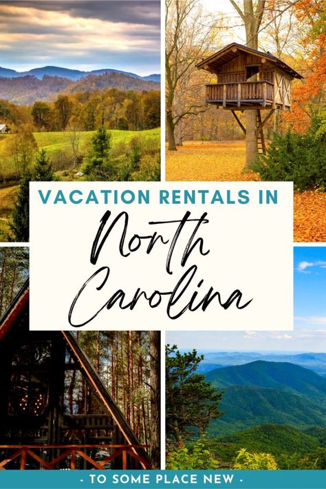 best airbnbs and vacation rentals in north carolina pin Treehouse Airbnb, Container Cabin, Pisgah National Forest, Luxury Glamping, Luxury Tents, Smoky Mountain National Park, Night Photos, Tourist Places, United States Travel