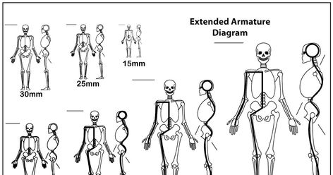 Download the full resolution printable PDF An armature is the skeleton that all sculptures are built on and provides a foundation... Armature Sculpture, Drawing Book Pdf, Body Chart, Easy Sculpture, Build Character, Sculpting Tutorials, House Crafts, Human Skeleton, Figure Reference