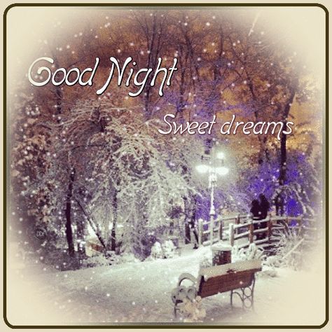 Have A Blessed Night, Goodnight Quotes Inspirational, Good Night Cards, Blessed Night, Good Night Everyone, Goodnight Quotes, Night Blessings, Night Friends, Night Gif