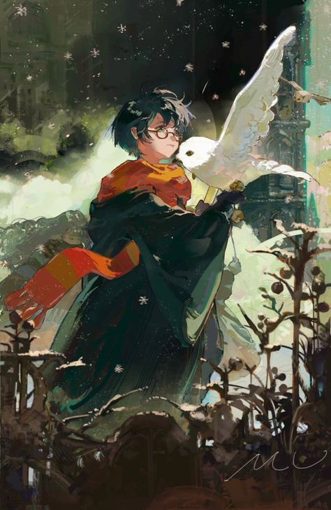 Macucu Art, Harry Porter, Harry Potter Illustrations, Images Harry Potter, Harry Potter Comics, Harry Potter Drawings, Harry James Potter, Harry Potter Anime, Wizarding World Of Harry Potter