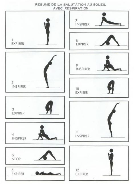 SALUTATION AU SOLEIL : SURYA NAMASKAR - Yoga et Energies Yoga Ashtanga, Sun Salutations, Yoga Vinyasa, Yoga Beginners, Zen Yoga, Yoga Posen, Yoga Iyengar, Iyengar Yoga, Yoga Help