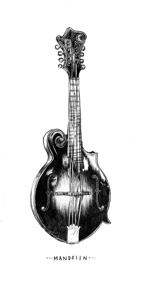 Mandolin illustration. Mandolin Tattoo, Drawing Instruments, Pencil Portraits, Bluegrass Music, Object Drawing, Music Tattoo, Musical Art, Heart Strings, Mandolin