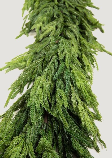 Norfolk Pine Garland, Hanging Plants Outdoor, Norfolk Pine, Faux Christmas, Winter Greenery, Christmas Garlands, Pine Garland, Christmas Dinner Party, Artificial Plants Outdoor