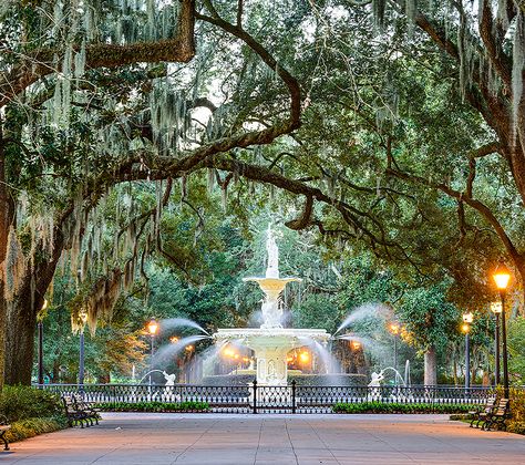 Hotels in Downtown Savannah GA | Official Website | The DeSoto Savannah Georgia Vacation, Weekend Getaways For Couples, Georgia Vacation, Visit Savannah, Downtown Savannah, Forsyth Park, Live Oak Trees, Couple Getaway, Savannah Georgia