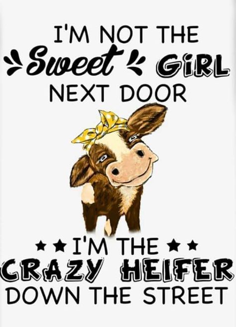 Funny Cows, Cow Quotes, Quotes Sarcastic, Cows Funny, Sarcastic Quotes Funny, The Crazy, Girl Next Door, Sarcastic Quotes, Next Door