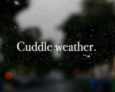 Rainy Cuddling Couples, Quotes About Cuddling, Cuddle Pictures, Cuddle Quotes, Disney Love Stories, Cuddle Weather, She Quotes, Dear Future Husband, Dear Future