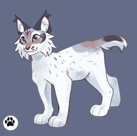 Lynx Character Design, Lynx Fursona, Lynx Oc, Mythical Creature Art, Cats Art Drawing, Magia Das Ervas, Cat Anatomy, Warrior Cat Drawings, Warrior Cat Oc