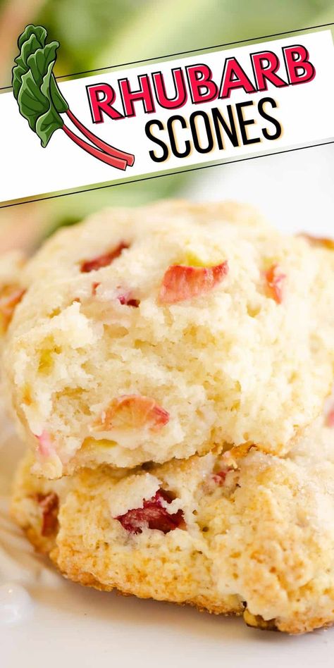 These easy Rhubarb Scones are a simple recipe that only require 5 ingredients and 30 minutes, for a delicious dessert or treat with the tart flavor of fresh rhubarb. You will be shocked at just how easy they are to make! Small Batch Rhubarb Recipes, Marjorie Standish Recipes, Cherry Rhubarb Recipes, Roasted Rhubarb Recipes, Rhubarb Breakfast Recipes, Basic Desserts, Rhubarb Scones Recipe, Savory Rhubarb Recipes, Scones Cream