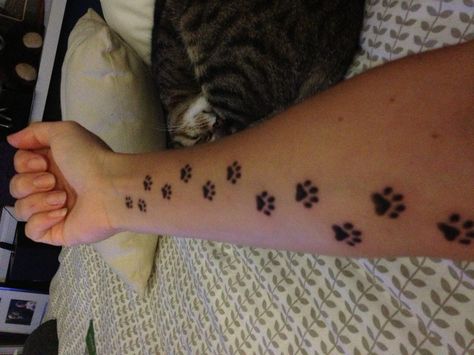 Trail of cat paw prints. I could see myself getting something like this up my leg Cat Paw Print Tattoo, Tattoo On Hip, Cat Paw Tattoos, Belly Button Tattoo, Unique Piercing, Next Tattoo Ideas, Tattoo Behind Ear, Tattoo Foot, Cute Tattoo Ideas