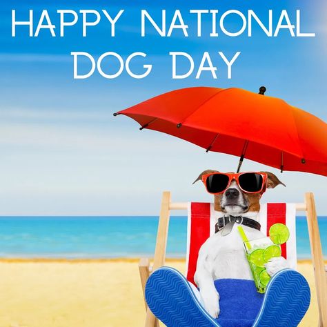 To all our beloved past present and future pups…you are angels sent from above you deserve every gift 🎁 this world has to offer! We love ❤️ and honor 🙌you today & Always…forever 💫grateful for you 💧🕊️🐾🥰😍our precious fur babies 😘 Happy National Dog Day, International Dog Day, Real Estate School, National Dog Day, National Pet Day, Hugs And Cuddles, National Puppy Day, Puppy Day, Emotional Support Dog