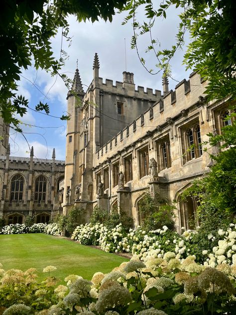 Oxford University Medicine, English College Aesthetic, Fancy School Exterior, Oxford University Medical School, New College Oxford, Magdalen College Oxford, European University Aesthetic, Oxford Acceptance Letter, University Of Oxford Aesthetic