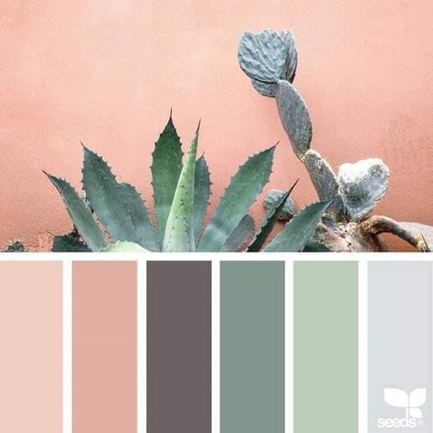 Pin by My dream on Paleta de colores | Decor color palette, Color schemes colour palettes, Decor color schemes Apartment Color Schemes, Succulent Design, Decor Color Palette, Decor Color Schemes, Color Schemes Colour Palettes, Grey Color Palette, Trendy Living Rooms, Room Paint Colors, Room Color Schemes