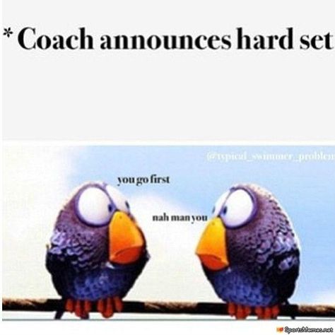 Volleyball Summer, Swimming Quotes Funny, Swim Problems, Swimmer Memes, Swimmer Quotes, Swim Quotes, Sports Gymnastics, Swimmer Girl, Swimming Jokes