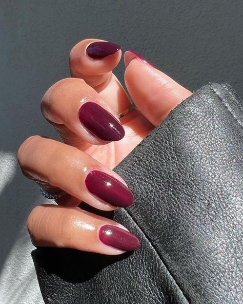 Nail
Women
Fashion 
Trend Copper Nail Color, Burgundy Background Aesthetic, Nails Jelly, Quince Nails, White Chrome Nails, Tiktok Beauty, White Tip Nails, Chrome Nail Art, Winter 23