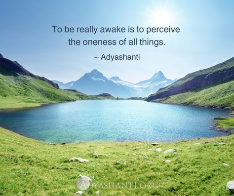 "To be really awake is to perceive the oneness of all things." ~ Adyashanti May 16, 2007  Chasing Enlightenment Acceptance Quotes, Meditation Benefits, Meditation Techniques, Spiritual Enlightenment, Spiritual Awakening, Spiritual Quotes, Zen, Meditation, Spirituality