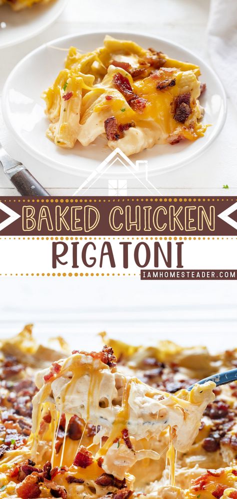 Moist Shredded Chicken, Hearty Winter Recipes, Homestead Hacks, Cheesy Bacon Chicken, Chicken Rigatoni, Rigatoni Noodles, Homesteading Recipes, Baked Pasta Dishes, Easy Shredded Chicken