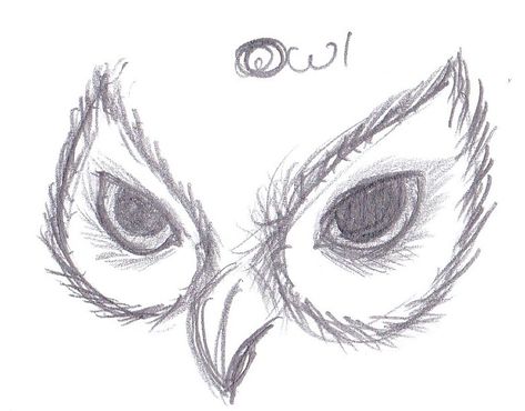 Easy Anime Eyes, Windows Photo, Owl Sketch, Pencil Inspiration, Realistic Eye Drawing, Abstract Sketches, Bird Sketch, Eye Sketch, Eyes Drawing