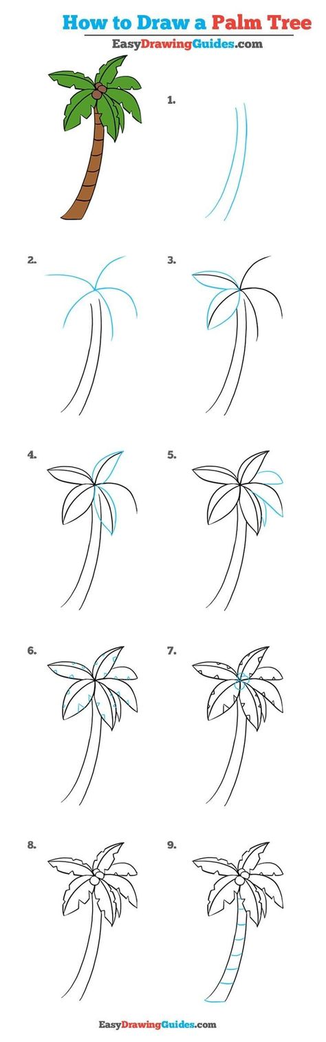 Learn How to Draw a Palm Tree: Easy Step-by-Step Drawing Tutorial for Kids and Beginners. #PalmTree #DrawingTutorial #EasyDrawing How To Paint A Palm Tree Step By Step, Draw A Palm Tree, Trees Drawing Tutorial, Tree Drawing Simple, Skitse Bog, Sunset Drawing, Palm Tree Drawing, Easy Disney Drawings, Cartoon Coloring