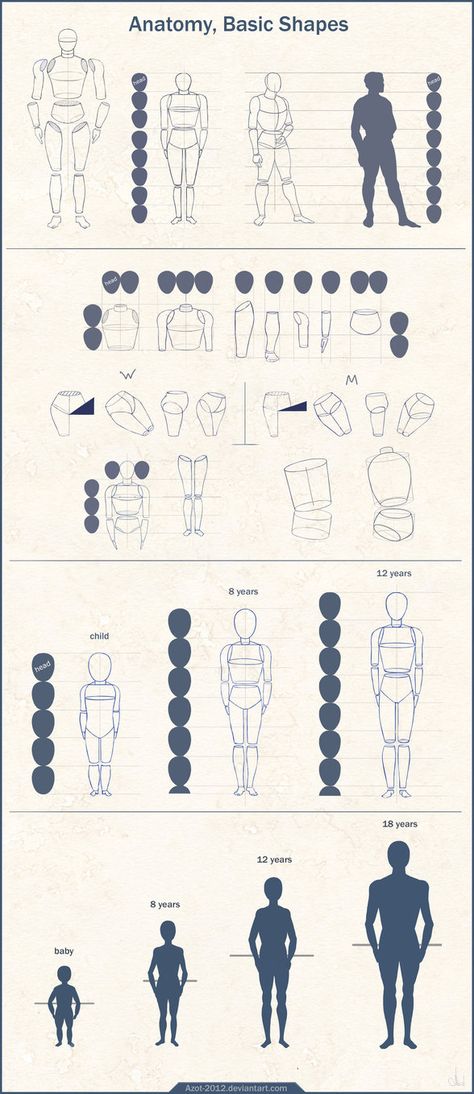 Anatomy Basic Shapes by Azot2018 Ako Kresliť, Geometric Tattoos, Human Figure Drawing, 3d Drawings, Urban Sketchers, Sketchbook Pages, Anatomy Drawing, Ink Drawings, Figure Drawing Reference