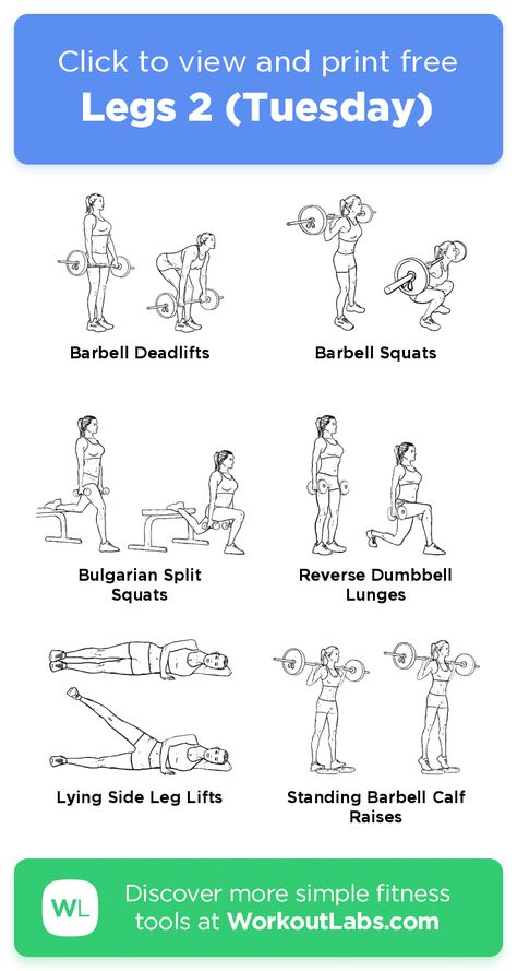 Workoutlabs Fit, Exercise Weights, Weight Routine, Pooch Workout, Tuesday Workout, Belly Pooch Workout, Leg Workouts Gym, Workout Programs For Women, Gym Workout Plan For Women