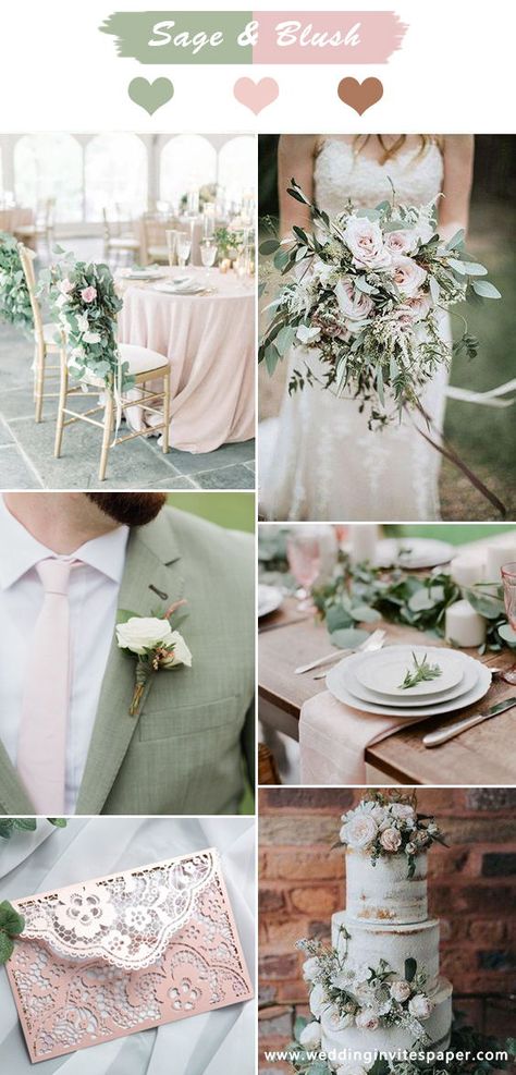 Top 6 Sage Green Wedding Color Palettes---Sage & Blush elegant  neutral color schemes, diy bouquets, greenery decorated wedding chairs, outdoor garden wedding ceremony, country wedding ideas, pretty laser cut invitation, wedding groom attire style, wedding cake. Sage Green And Blush Groom Attire, Sage Green Blush Silver Wedding, Grooms Outfit Wedding Sage Green, Sage White And Blush Wedding, Blush Pink And Mint Green Wedding, Save Green And Blush Wedding, Wedding Color Schemes Sage Green And Blush, Emerald Sage Blush Wedding, Blush Pink And Sage Green Wedding Party