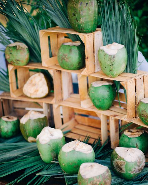 Patagonia Wedding, Coconut Photography, Breakfast Reception, Coconut Wedding, Bali Party, Coconut Shake, Weddings Mexico, Coffee Bar Wedding, Beach Theme Party