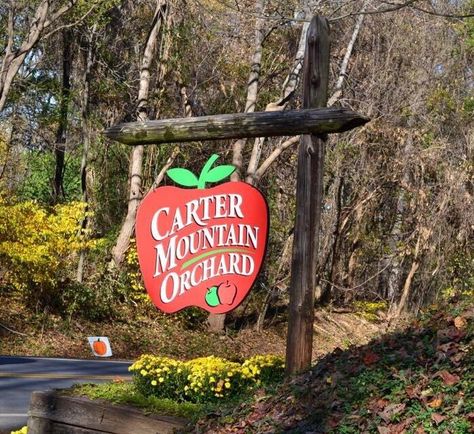 Carter Mountain Orchard (Charlottesville, VA): Top Tips Before You Go - TripAdvisor Carter Mountain Orchard Virginia, Ber Months, 3rd Wedding Anniversary, Bachelorette Ideas, Charlottesville Va, Top Tips, Places To Travel, Wedding Anniversary, Trip Advisor