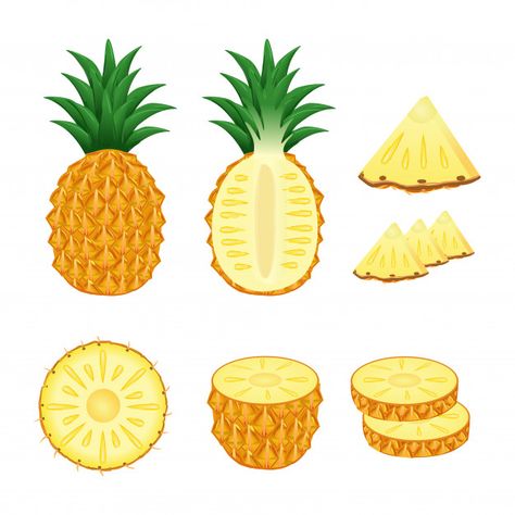 Set of pineapple whole and slices illust... | Premium Vector #Freepik #vector #food #leaf #nature #fruit Pineapple Slice Drawing, Pineapple Illustration Design, Infographic Recipe, Draw Pineapple, Pineapple Aesthetic, Kombucha Labels, Pineapple Vintage, Cartoon Pineapple, Pineapple Drawing