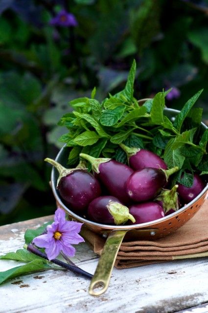 Eggplant Roasted Eggplant Recipes, Vegetarian Side Dish Recipes, Singapore Sling, Mint Recipes, Vegetarian Side Dishes, Roast Eggplant, Eggplant Recipes, Fruit And Veg, Summer Picnic