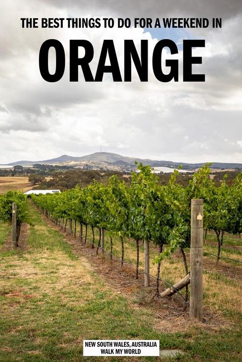 If you love the Hunter Valley but you’re keen to try somewhere new then Orange is the perfect place for you. The food and wine scene is fantastic and there are less crowds than you’ll find in the Hunter. Here’s what to do in Orange for a fantastic weekend away. #NewSouthWales #Australia Orange Nsw Australia, Orange Nsw, Nz Travel, Australia Itinerary, Weekend Break, Australia Travel Guide, Australian Travel, Oceania Travel, Couple Travel