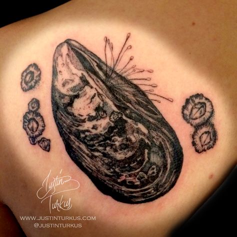 Single Needle Mussel Barnacle Tattoo by Justin Turkus Barnacle Tattoo, Mussel Tattoo, Rock Tattoo, Single Needle Tattoo, Craft Things, Tat Ideas, Tattoo Inspo, A Tattoo, Tattoos And Piercings