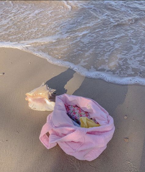 Picnic Tote Inspo Shell Beach Beachy Shells Beach Girl Coconut Girl Hawaii Ocean Water Sand Maui Oahu Florida California Beach Coquette Aesthetic, Tohru Honda Aesthetic, Honda Aesthetic, Beach Coquette, Tohru Honda, Beachy Aesthetic, Barbie Summer, Summer Board, Cruel Summer