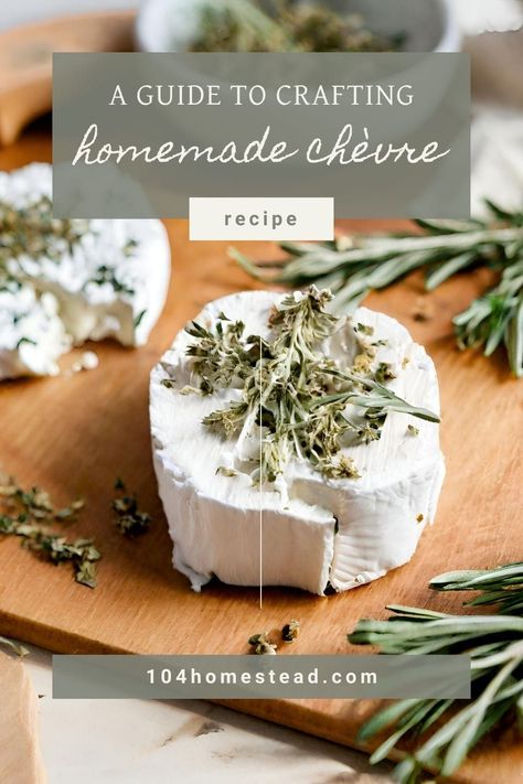 Discover the joy of making your own homemade chèvre. Learn to season, store, and enjoy homemade goat cheese. Perfect for beginners! Making Goat Cheese, Homemade Goat Cheese, Goose Recipes, Cheese Making Recipes, Goat Milk Recipes, Goat Cheese Recipes, Best Appetizer Recipes, Easy Cheese, Tailgate Food