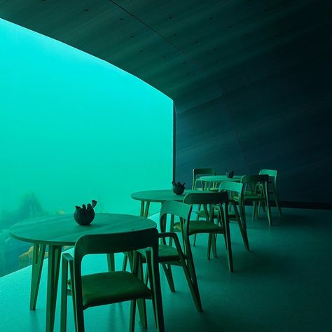 Nestled amidst the breathtaking Norwegian coastline, the Under Restaurant stands as a marvel of culinary innovation and architectural wonder... . . #sea #norway #restaurant #design #interesting Underwater Restaurant, Unique Restaurants, Restaurant Design, Scandinavia, Norway, Marvel, Restaurant, Wonder, Architecture