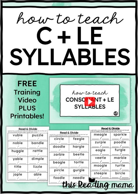 How to Teach Final Stable Syllables Final Stable Syllable Activities Free, Syllable Rules, Teaching Syllables, Syllable Division, Syllables Activities, Wilson Reading, Syllable Types, Structured Literacy, Phonics Rules