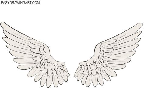 How to Draw Wings | Easy Drawing Art Drawings Of Wings Angels, Angel Wing Art Reference, Drawing Wings Angel, Angle Wing Reference, Angelic Wings Drawing, Cupid Wings Drawing, Wings Reference Drawing Angel, Drawing Ideas Wings, Cartoon Wings Drawing