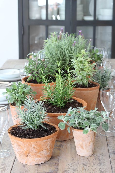 Garden Potager, Garden Farmhouse, Herb Garden Design, Beautiful Tablescapes, Garden Containers, Mediterranean Garden, Veggie Garden, Garden Cottage, Balcony Garden