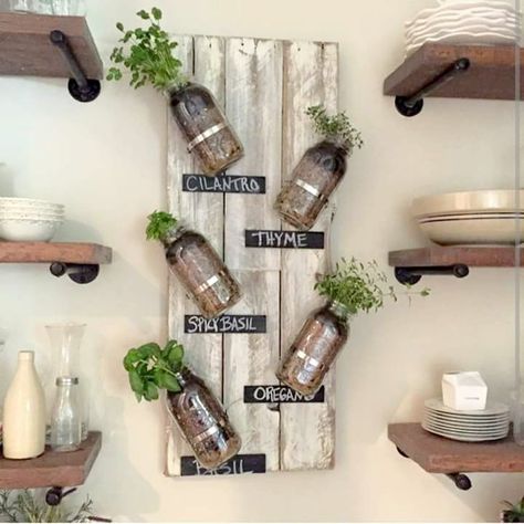 DIY Mason Jar Indoor Herb Garden, instead of mason jars I would cut wine bottles as they would have a larger opening and it would be a good way to recycle. Indoor Herb Garden Diy, Reclaimed Wood Wall Decor, Mason Jar Herbs, Mason Jar Kitchen Decor, Mason Jar Herb Garden, Herb Garden Pallet, Mason Jar Kitchen, Hanging Herb Garden, Hanging Herbs