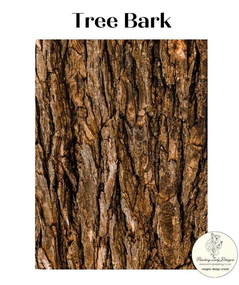 Tree Bark - Art Paper for Decoupage and Crafting By Painting Lady Designs | Michaels® Tree Bark Crafts, Bunting Bird, Decoupage Images, Indigo Bunting, October Art, Laser Projects, Baroque Pattern, Faux Tree, Photography Words