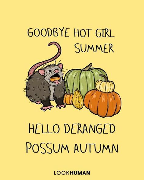 It's Time To Say Goodbye, 7 Seas, Patterns Wallpaper, Hot Girl Summer, Pumpkin Season, To Say Goodbye, Cute Patterns Wallpaper, Hallows Eve, Among Us