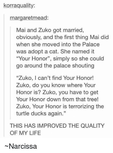 Atla Zuko X Mai, Turtle Ducks, Zuko And Mai, Mai And Zuko, Atla Memes, Adopt A Cat, Your Honor, Yip Yip, Avatar The Last Airbender Funny