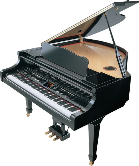 KR-117M: Roland’s flagship digital grand with moving keys Violin Pics, Alto Saxophone Sheet Music, Piano Pictures, Sheet Music With Letters, Piano Store, Piano For Sale, Piano Learn, Learn Violin, Best Piano