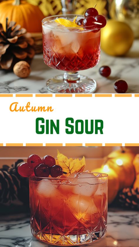 Easy Dessert Recipes: Autumn Gin Sour Sloe Gin Cocktail Recipe, Slow Gin Recipe, Gin Sour Cocktail Recipes, Gin Cocktails Easy, Sloe Gin Cocktails, Sour Recipes, Gin And Juice, Easy Gin Cocktails, Seasonal Cocktails